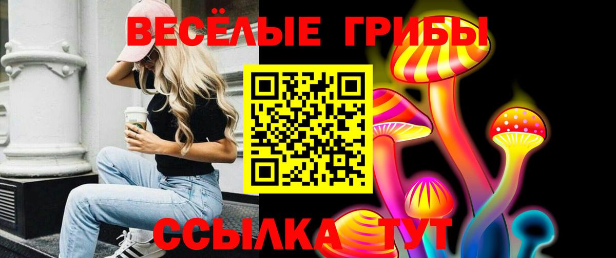 Псилоцибиновые грибы GOLDEN TEACHER Белово